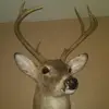markbrasel985 - @markbrasel985 - TikTok