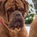 Mark Brassington - Facebook