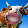 Mark Bratton580 - @markbratton2 - TikTok