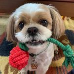mark brawner - @brawner09811222 - Instagram