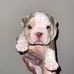 Mark jame breeding - Facebook