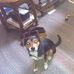 Mark Breedlove - Facebook