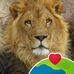 Mark Brian - Facebook