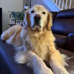 Mark Bresee - @mbresee68 - Instagram