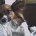 Mark Brethauer - Facebook