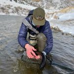 Mark Brewer - @markwbrewer - Instagram
