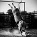 Mark Brewer - Facebook