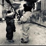Mark brewster - @m_brewster_farrier - Instagram