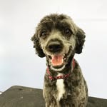 Mark Brick - @groom_haven - Instagram