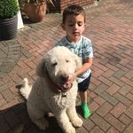 Mark Bridges - @mark.bridges.142 - Instagram