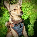 Mark Blewitt-Brigham - @blewittmark - Instagram