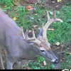 Mark Brigham - @mark.brigham - TikTok