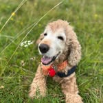 Mark Brimfield - @mark.brimfield - Instagram