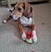 Mark Brindle - Facebook