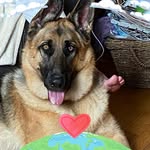 Mark Brine - @brine8192 - Instagram