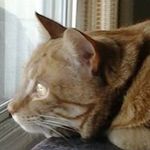 Mark Britton - @britton8268 - Instagram