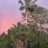 Mark Britton - @mark.britton47 - TikTok