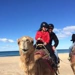 Mark Brody - @markbrody3 - Instagram