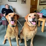 Mark Brooks - @brooksmark72 - Instagram