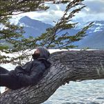 Mark Broomfield - @broomfield97 - Instagram
