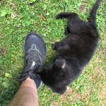 Mark Brostrom - @mark.brostrom - Instagram