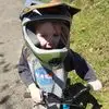 markbrower4 - @mark.brower - TikTok