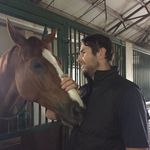 Mark Browne - @diversifiedequinetherapy - Instagram