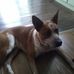 Mark Browne - Facebook