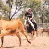 mark browne - @markbrowne57 - TikTok