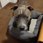 Mark Brozey - @markbrozey - Instagram