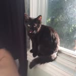 Mark Brozowski - @markbrozowski - Instagram