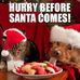 Mark Bruh - Facebook