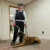 Mark Bruner378 - @markbruner378 - TikTok