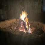 Mark Brunetti - @puppygrease - Instagram