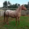 markobrunetti - @markobrunetti - TikTok