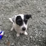 Mark Bruniges - @brunigesmark - Instagram