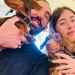 Mark Bruno dachshund puppies - @moussa.goumara - Instagram