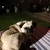 Mark - @mark.bruno - TikTok