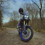 Mark Buchanan - @mark_buchanan20 - Instagram
