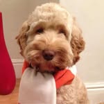 Mark Buckingham - @markfk69 - Instagram