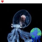 Brian Simonich - @markbuehrle2018 - Instagram