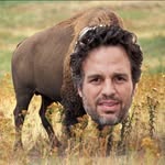Mark Buffalo - @buffalomarkruffalo - Instagram