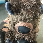 Mark Buffalo - @when_bison_roamed_the_earth - Instagram