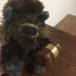 Mark Buffalo & ManBear Buffalo - @apobackpackingbison - Instagram