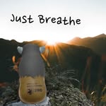 Mark Buffalo Geoff Eagle Aurora Bear - @markbuffalojibc - Instagram
