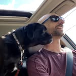 Mark Buffone - @buffone.on.the.insta - Instagram