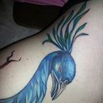 Mark Bugeja - @mark.bugeja.12 - Instagram
