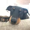 Mark + Bunny - @egal.ist.88 - TikTok