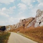 Mârk bunny - @markbunny6 - Instagram