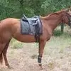 Mark Bunten - @mark.bunten - TikTok